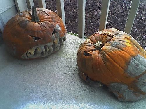 We forgot about the pumpkins.