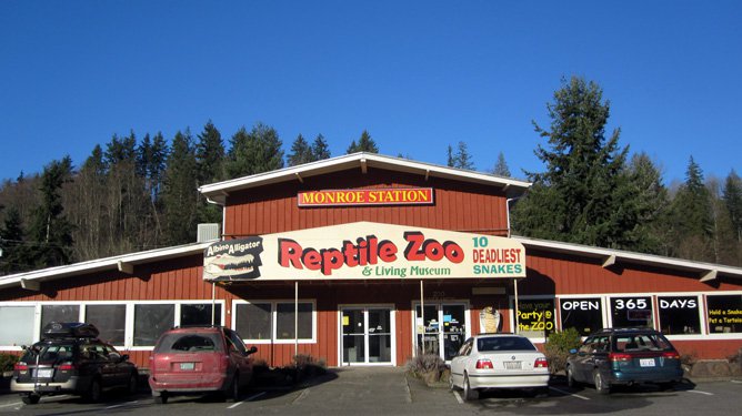 Creatures of night, brought to light: The Reptile Zoo in Monroe, WA