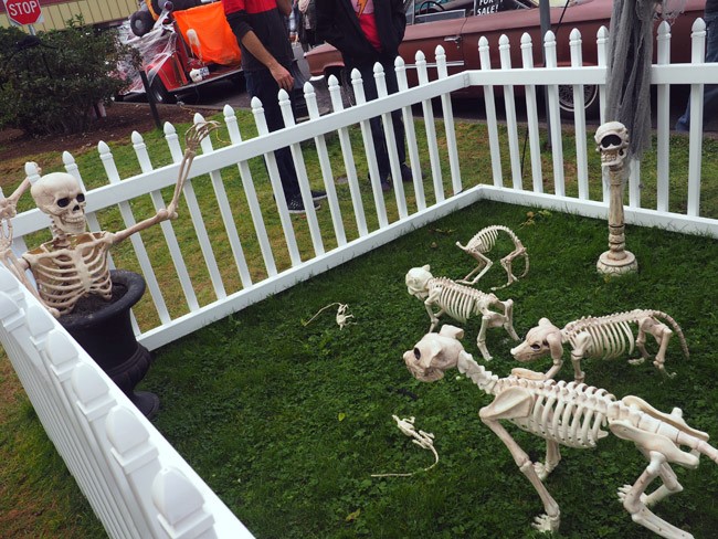skeleton dog park