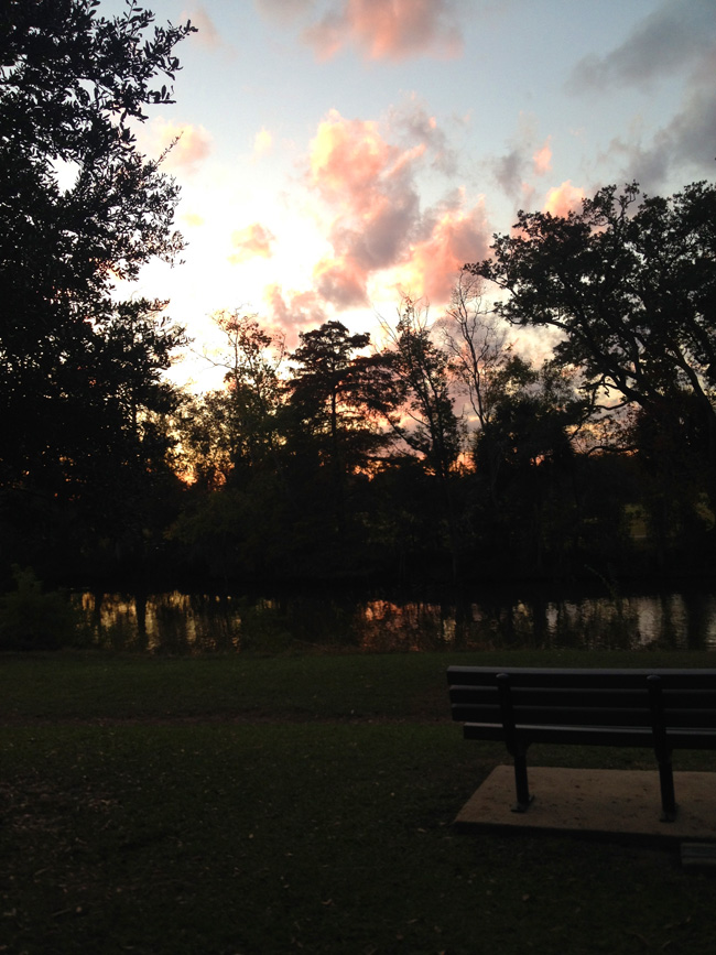 audubon park sunset