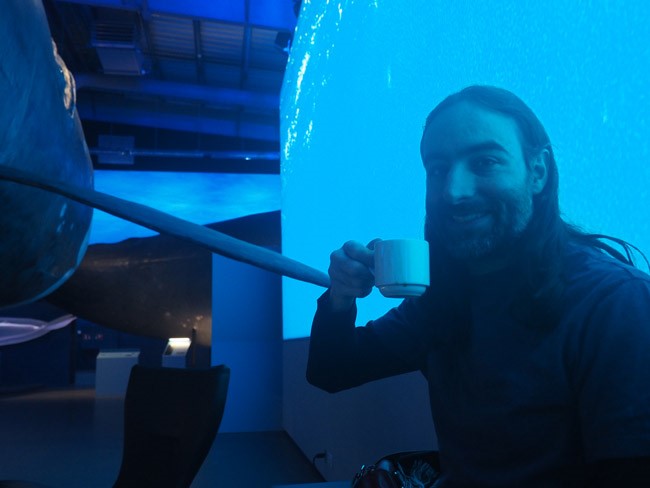 drinking coffee among the whales