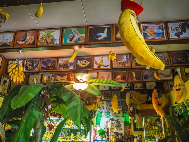 banana museum (22 of 41)