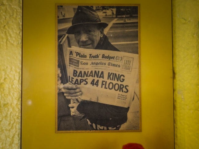banana museum (27 of 41)
