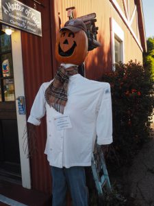 The Cambria Scarecrow Festival • Mellzah