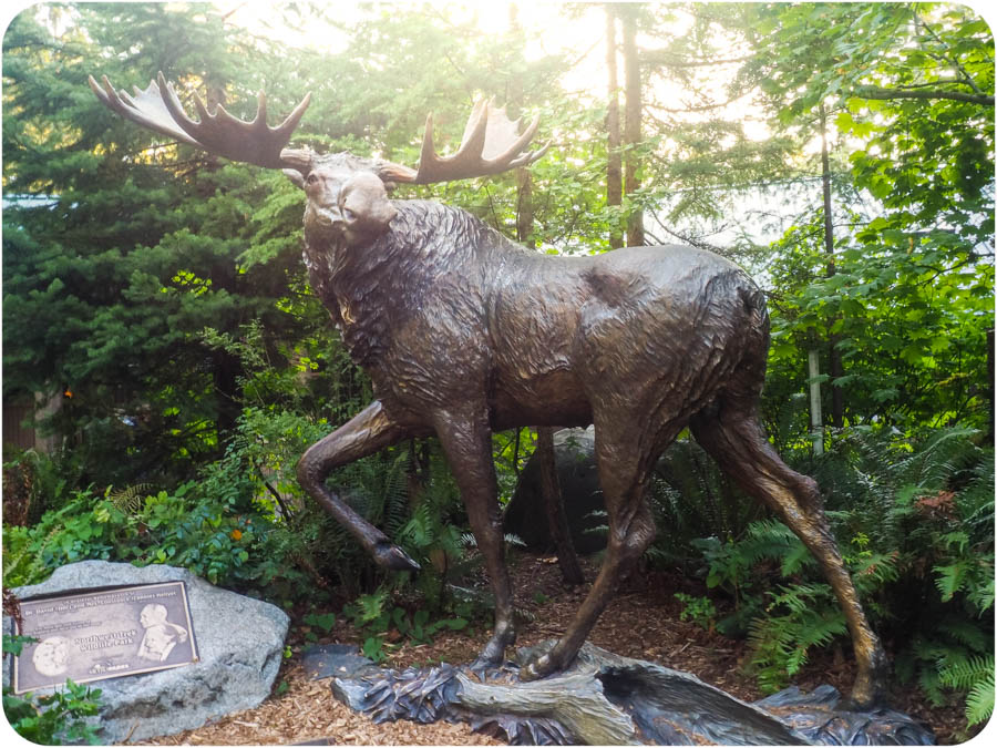 The Elk Bugling Tour at NW Trek