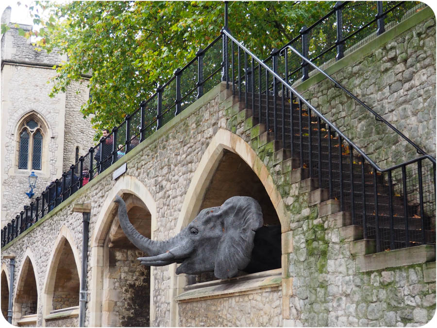 Zoo tower. Королевский зверинец Тауэр. Тауэр зоопарк. Лондонский Тауэр зверинец. Лондонский Тауэр зоопарк монетный двор и Королевский Арсенал.