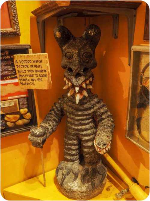 Delve into the Bizarre – A Journey Through Austin’s Museum of the Weird