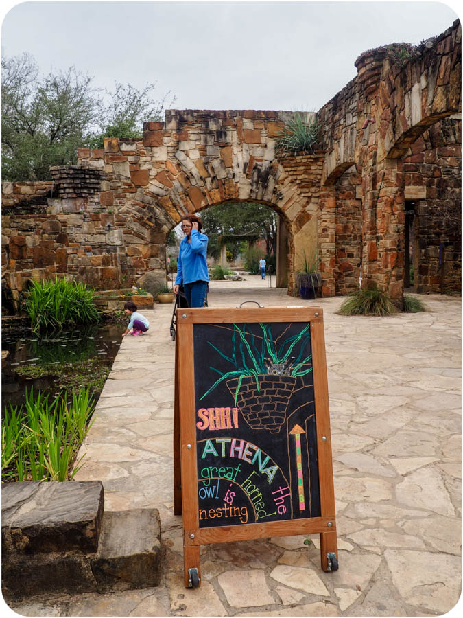 Photo post: Lady Bird Johnson Wildflower Center in Austin, TX