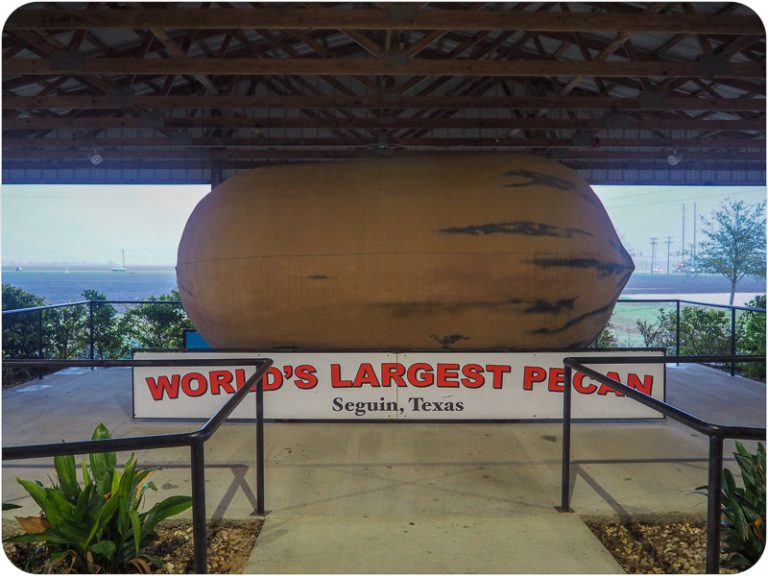 Going Nutty for The World's Largest Pecan(s) in Texas • Mellzah