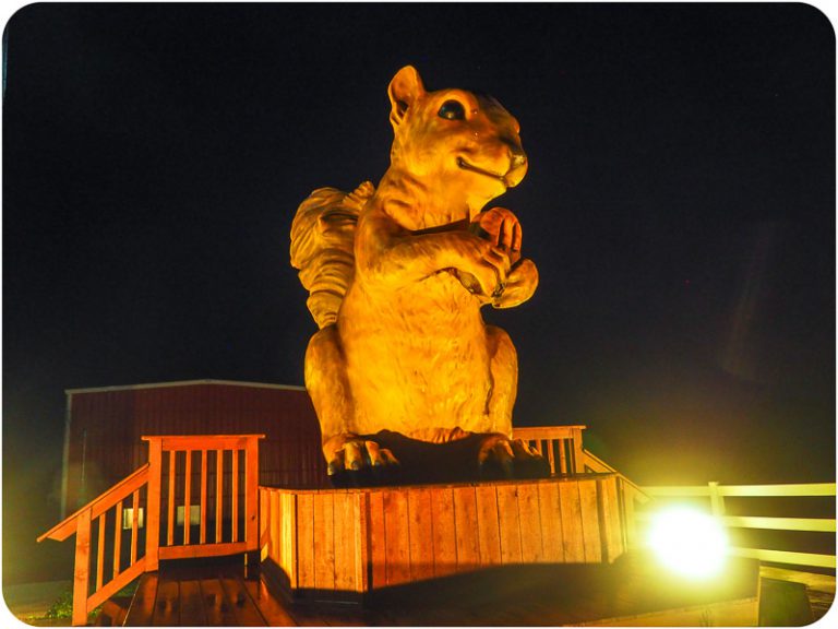 Going Nutty for The World's Largest Pecan(s) in Texas • Mellzah