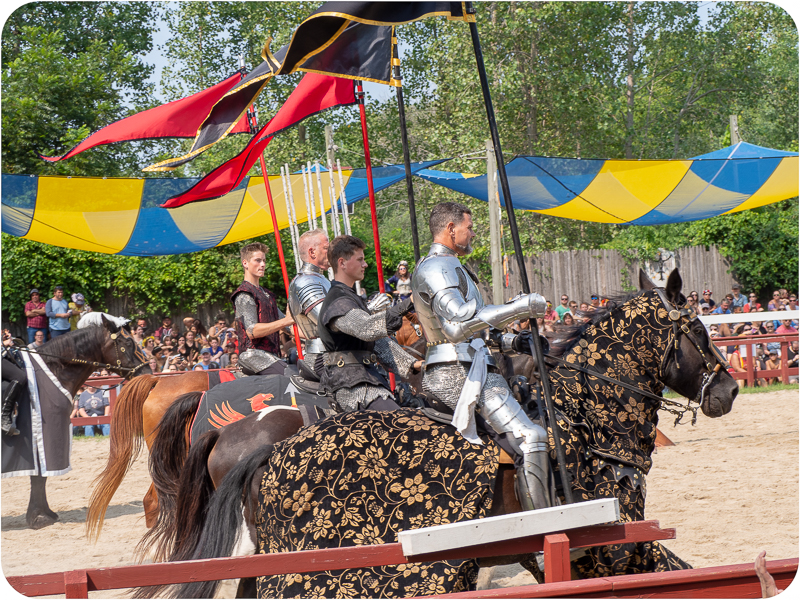 Renaissance Fair Wisconsin 2024 - Sandy Cornelia