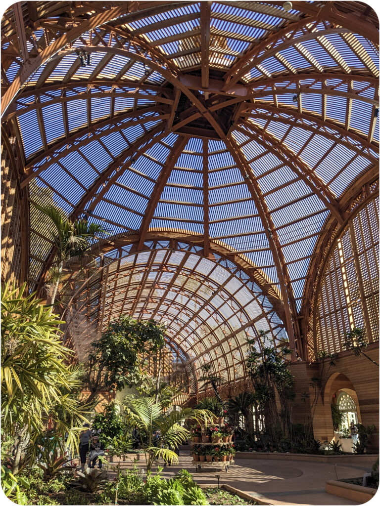 The gaze of the photo is upward to the domed ceiling structure of the botanical building in Balboa park. The domes are brown and made of an open grating to allow sunlight and air movement. Green foliage is seen toward the bottom.