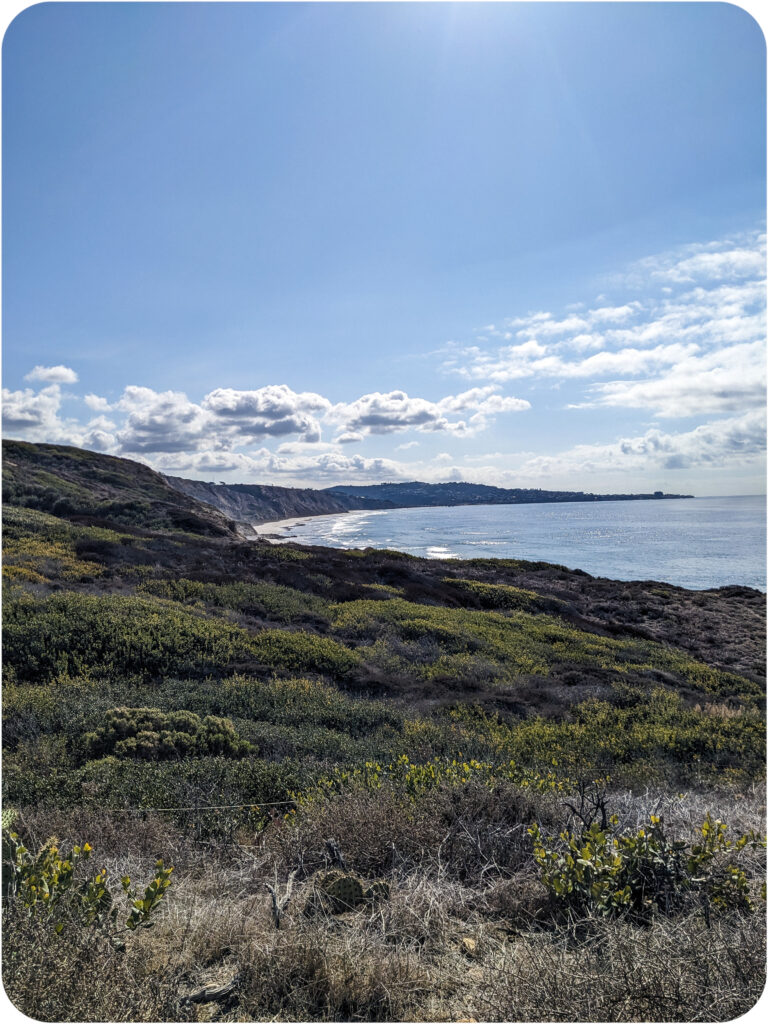 A view from a bluff at Torrey Pines looking toward the point of La Jolla which highlights the way the coastline curves.