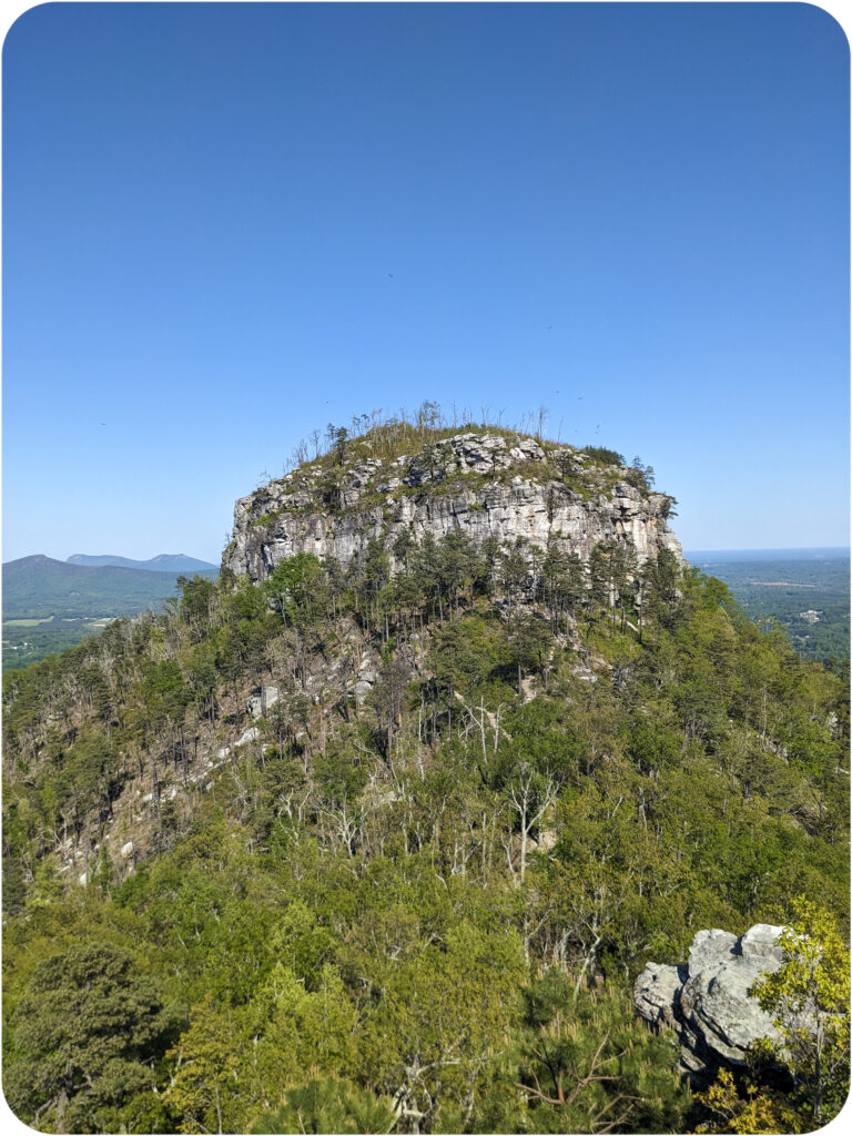 A mountain covered in green trees at the base growing up toward a tip that is starkly raised with a domed top and much less vegetation. 
